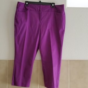 Purple Capri Pants Capri